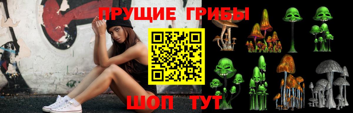 Псилоцибиновые грибы Psilocybine cubensis Саяногорск